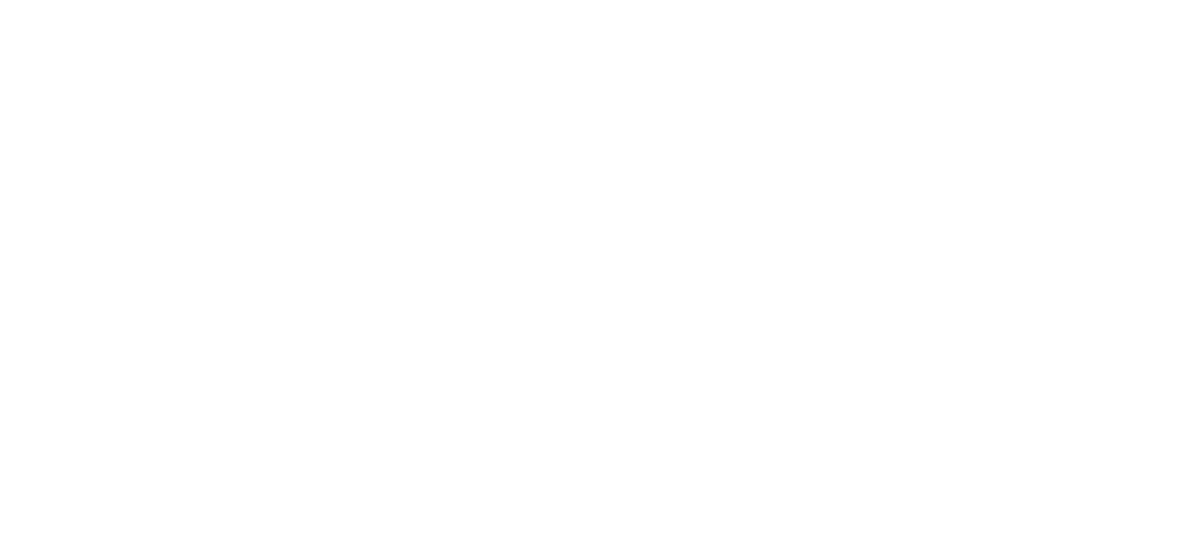 c&s logo 3 b